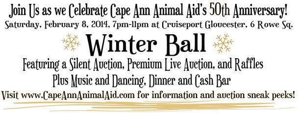 Winter Ball 2014